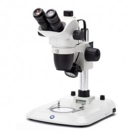 Estereoscopio Trinocular EUROMEX - NZ1903-P